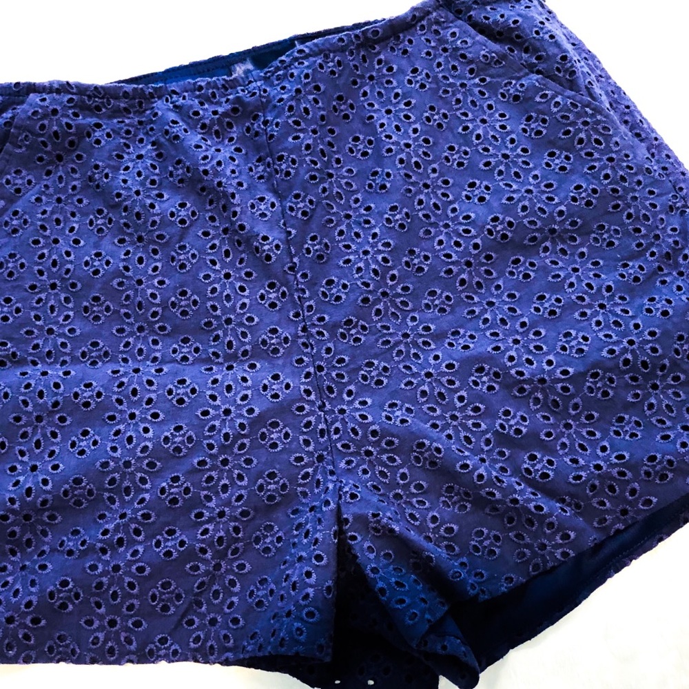 NWT Embroidered shorts